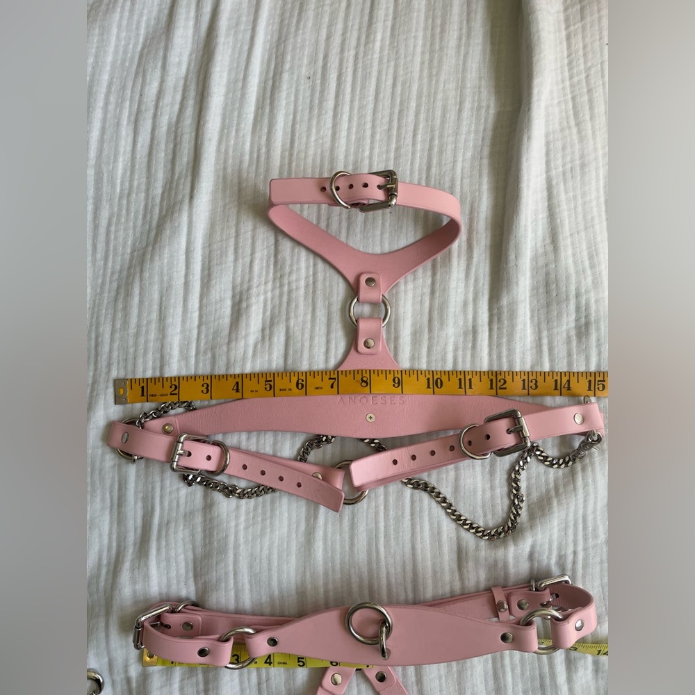 Anoeses Leather Pink Terra bondage Lingerie Set - Picture 10 of 17